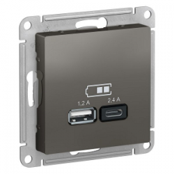 ATN000939 Розетка USB для зарядки Тип А+С 1,2А/2,4А Сталь - Atlas Design Schneider Electric