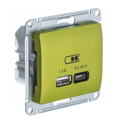 Розетка USB для быстрой зарядки Тип А С Фисташковая Glossa Schneider Electric GSL001029